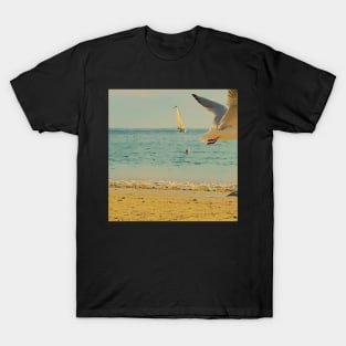 Fugacious moment at Portez Beach T-Shirt